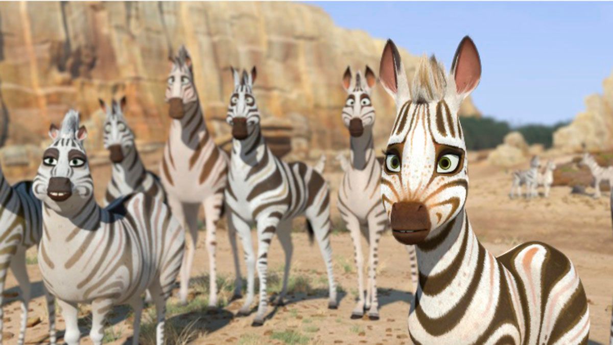 Cesur Zebra : Fotoğraf