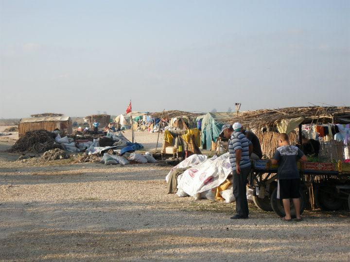 Toprağa Uzanan Eller : Fotoğraf