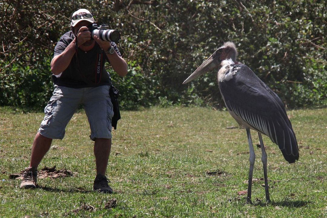 Safari Macerası : Fotoğraf