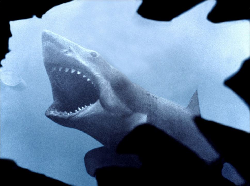 Jaws : Fotoğraf