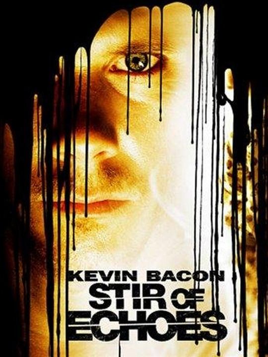 A Stir of Echoes : Afiş