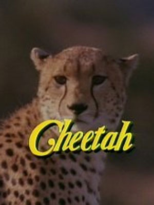Cheetah : Afiş