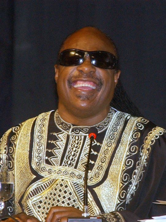 Afiş Stevie Wonder