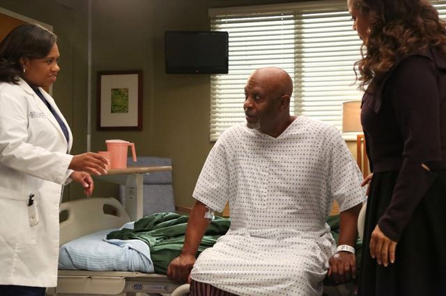 Fotoğraf Chandra Wilson, James Pickens Jr.