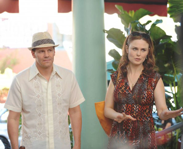 Fotoğraf David Boreanaz, Emily Deschanel