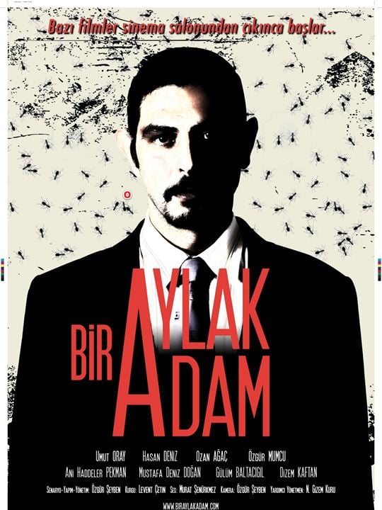 Bir Aylak Adam : Afiş