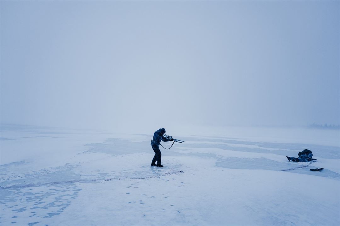 Kara Yengeç : Fotoğraf