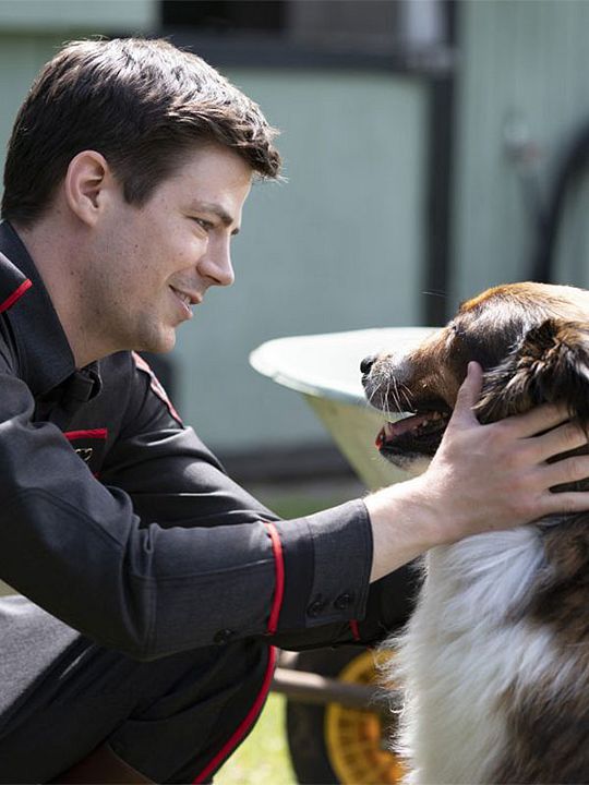 Kurtarma Köpeği Ruby : Afiş
