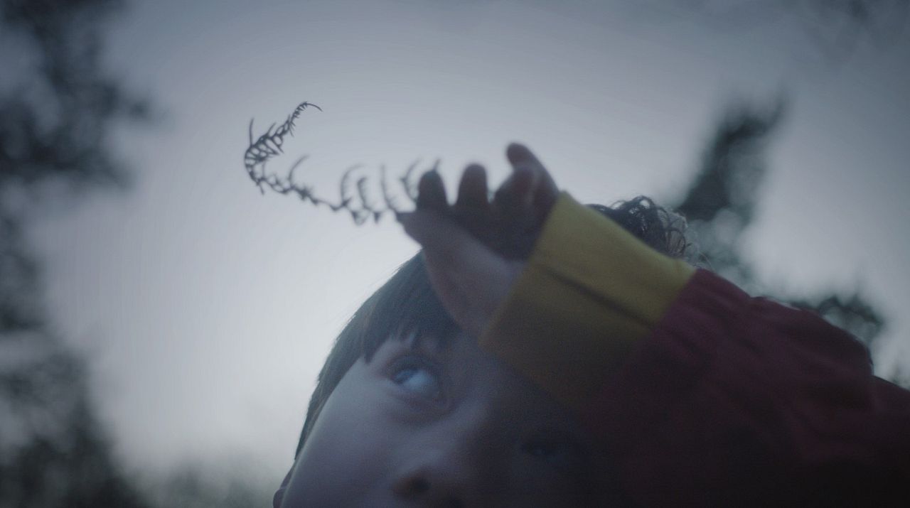 The Reason I Jump : Fotoğraf