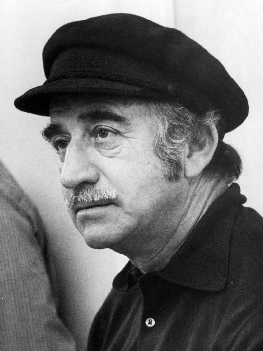 Afiş Don Siegel