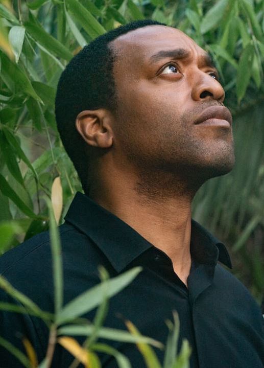 The Man Who Fell to Earth : Afiş