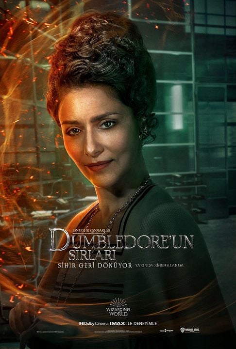 Fantastik Canavarlar: Dumbledore'un Sırları : Afiş