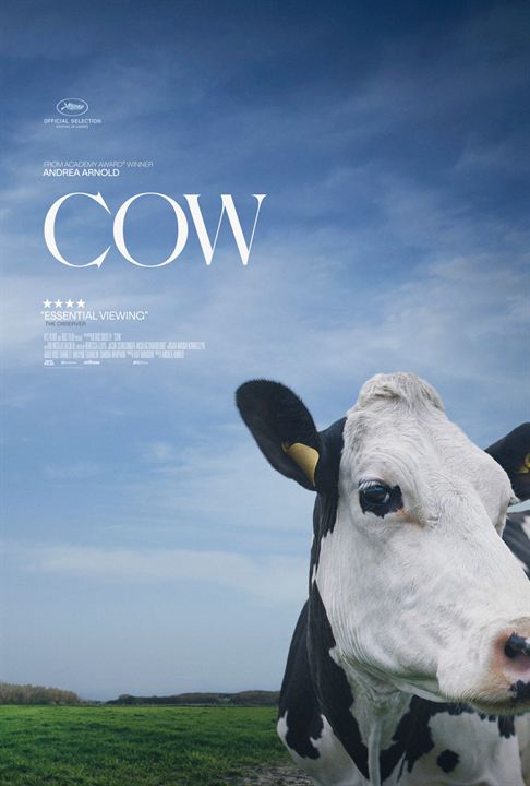 Cow : Afiş