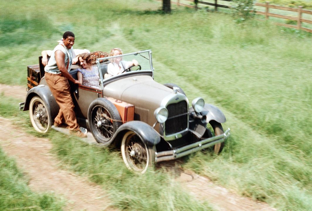 Kızarmış Yeşil Domatesler : Fotoğraf