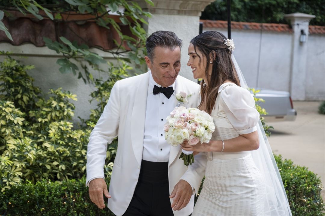 Father Of The Bride : Fotoğraf Adria Arjona, Andy Garcia