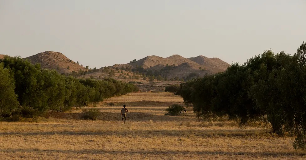 Harka : Fotoğraf