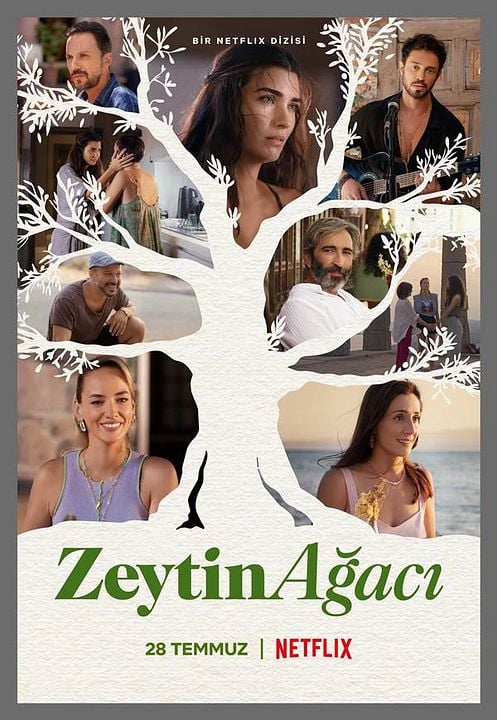 Zeytin Ağacı : Afiş