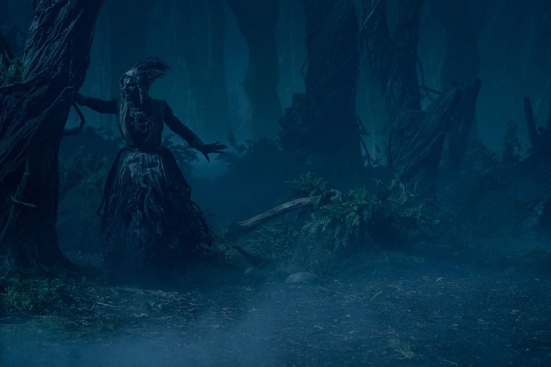 Guillermo del Toro's Cabinet of Curiosities : Fotoğraf