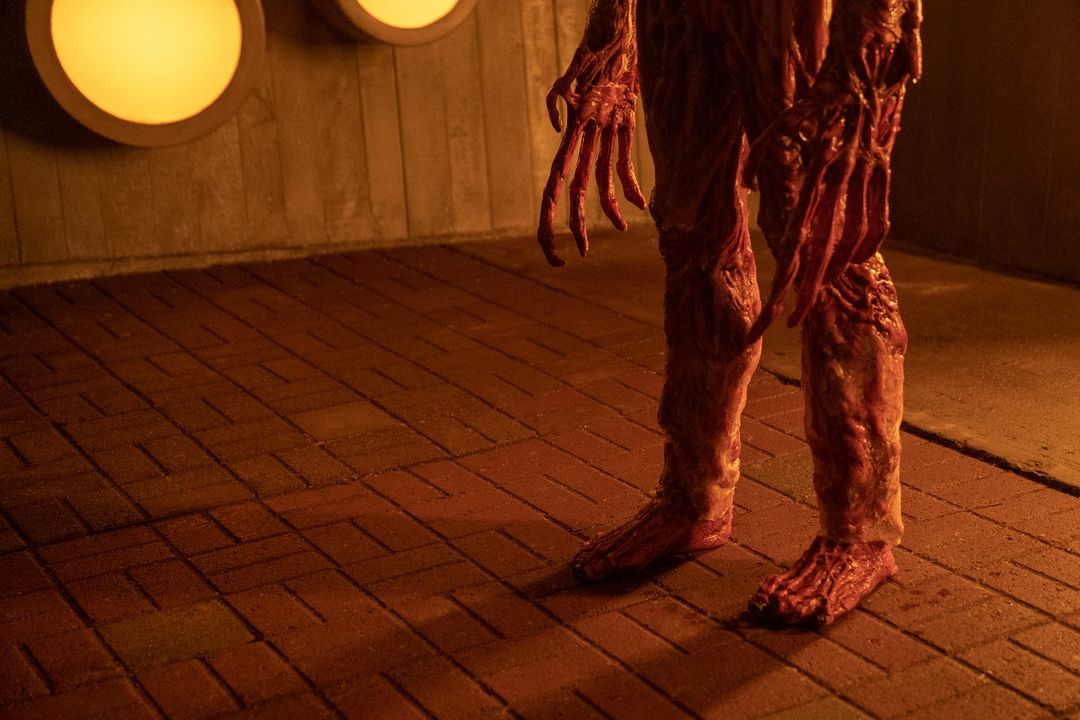 Guillermo del Toro's Cabinet of Curiosities : Fotoğraf