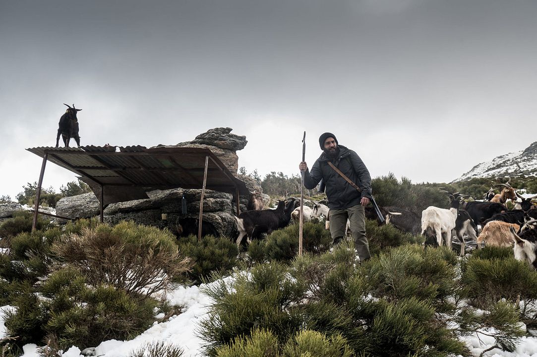 Fotoğraf Jesús Carroza