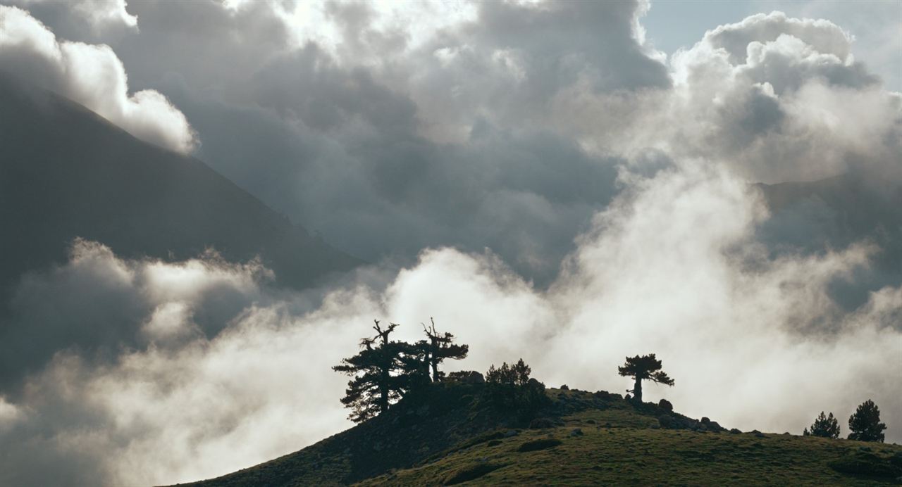 Il buco : Fotoğraf