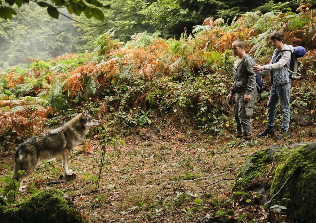 Fotoğraf Levi Eisenblätter