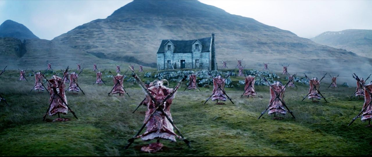 Shepherd : Fotoğraf