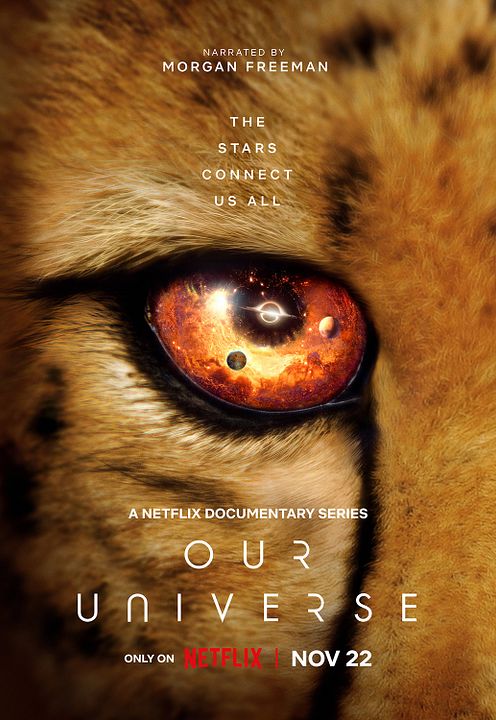 Our Universe : Afiş