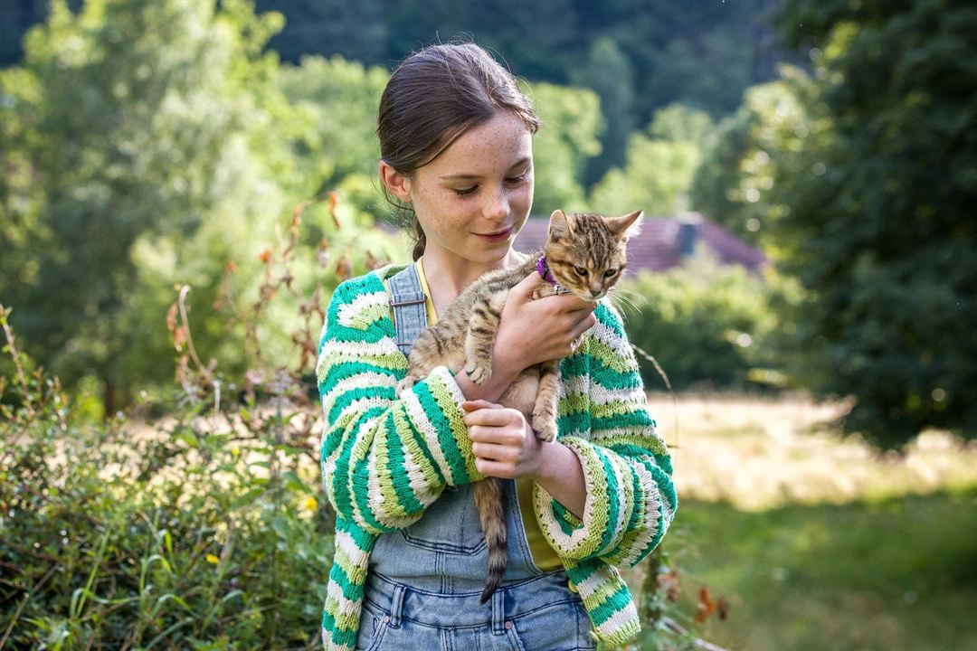 Mon chat et moi, la grande aventure de Rroû : Fotoğraf Capucine Sainson-Fabresse