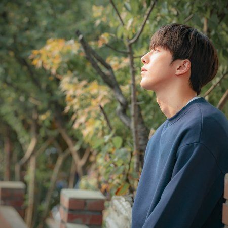 The Light in Your Eyes : Fotoğraf