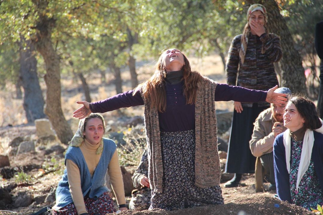 Serçenin Gözyaşı : Fotoğraf