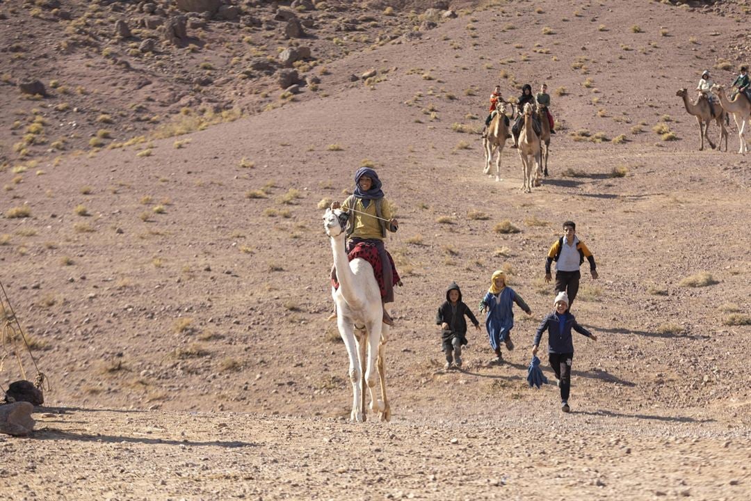 Zodi et Téhu, frères du désert : Fotoğraf