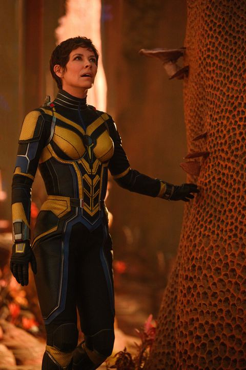 Ant-Man ve Wasp: Quantumania : Fotoğraf Evangeline Lilly