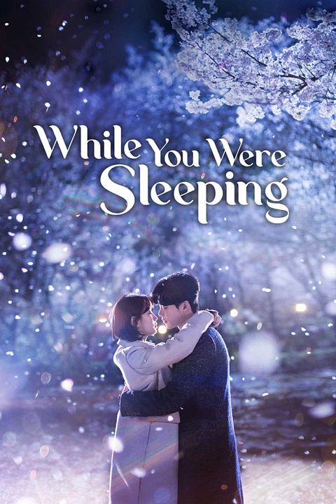 While You Were Sleeping : Afiş