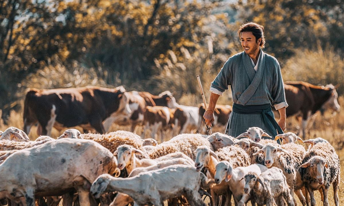 Tin lung baat bou : Fotoğraf