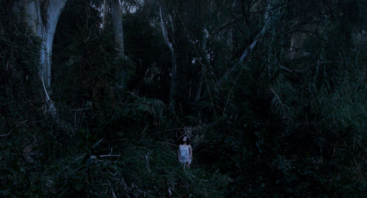 Fotoğraf Romanna Lobach