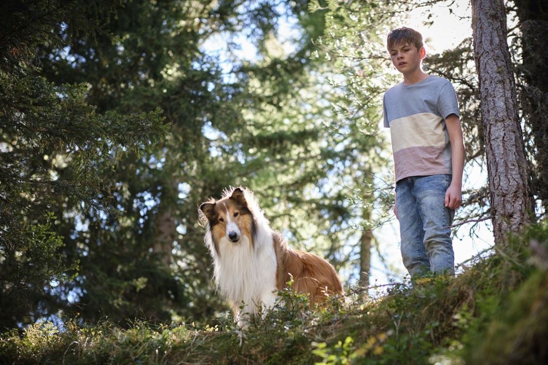 Lassie: Yepyeni Bir Macera : Fotoğraf Nico Marischka