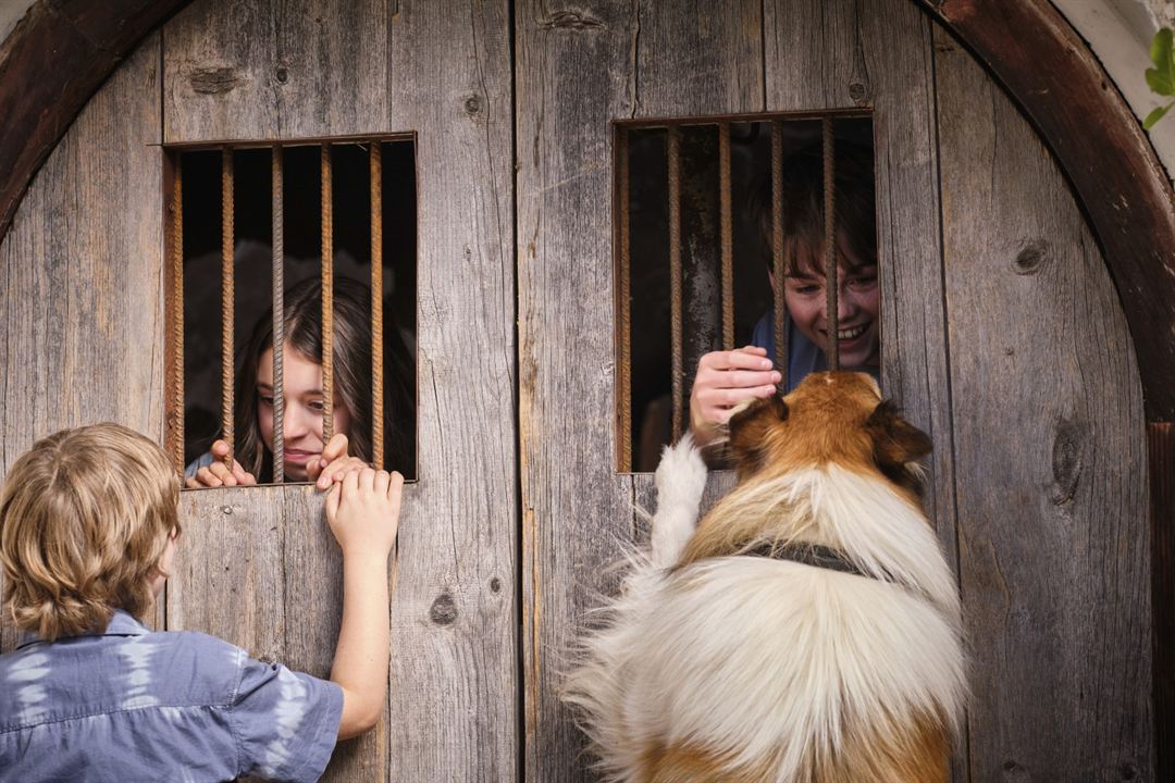 Lassie: Yepyeni Bir Macera : Fotoğraf Nico Marischka, Anna Lucia Gualano, Pelle Staacken