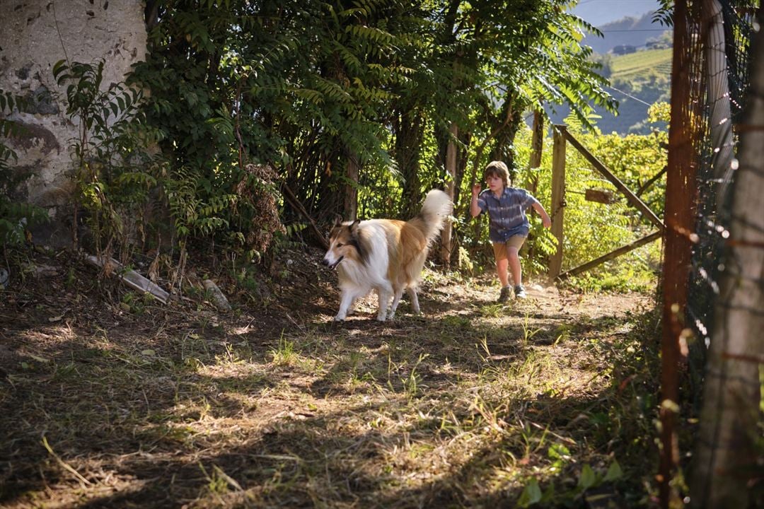 Lassie: Yepyeni Bir Macera : Fotoğraf Pelle Staacken