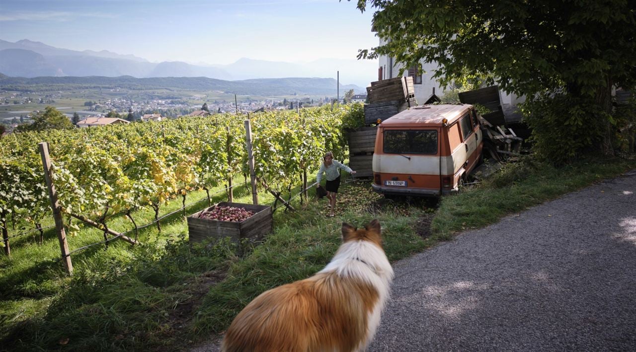 Lassie: Yepyeni Bir Macera : Fotoğraf Maike Jüttendonk