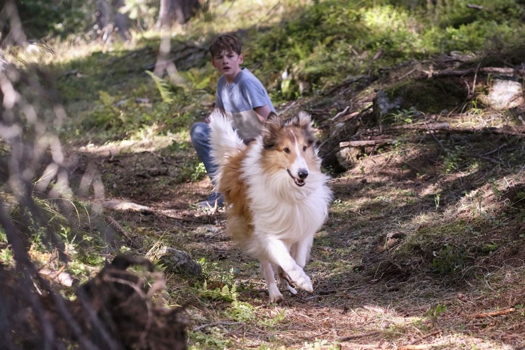 Lassie: Yepyeni Bir Macera : Fotoğraf Nico Marischka