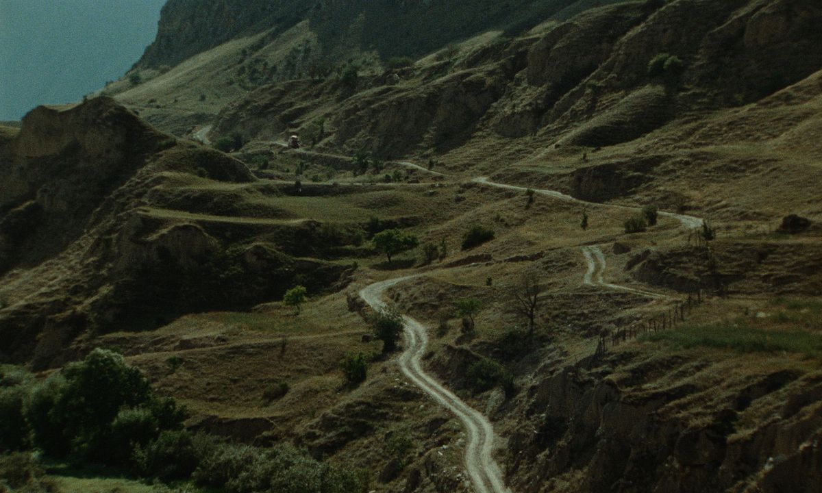 Blazh : Fotoğraf