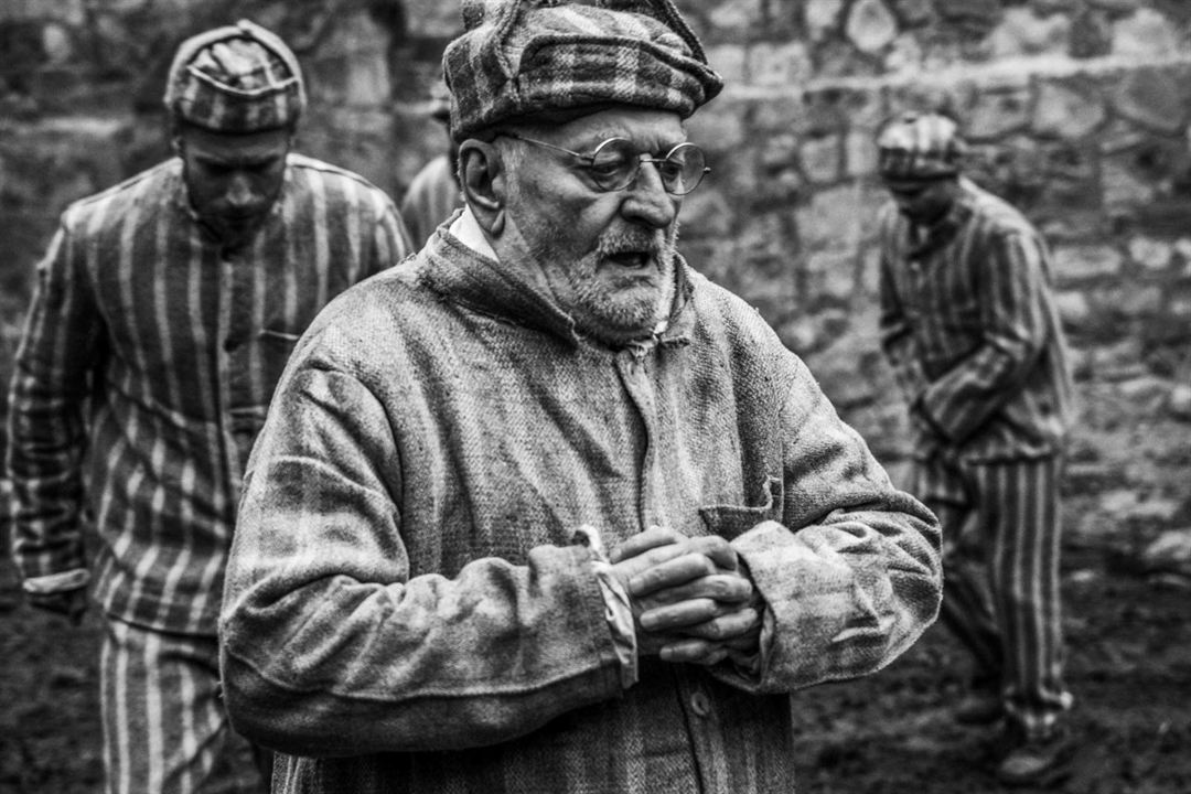 The Cardinal : Fotoğraf