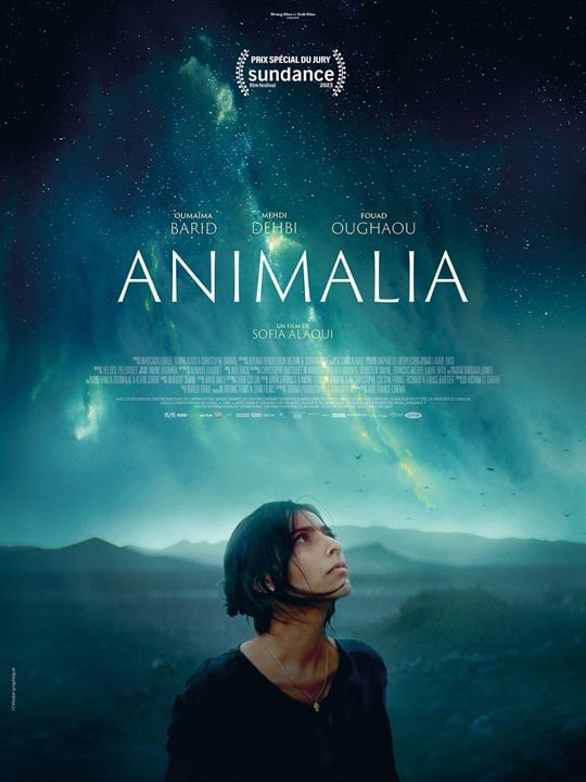 Animalia : Afiş