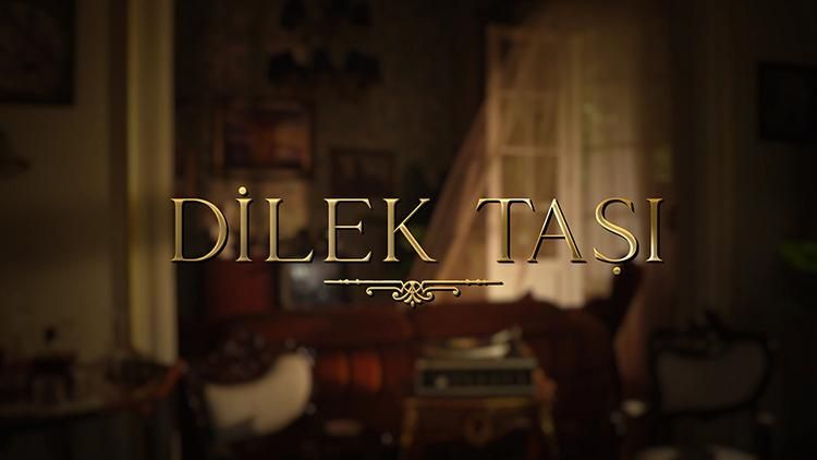 Dilek Taşı : Fotoğraf