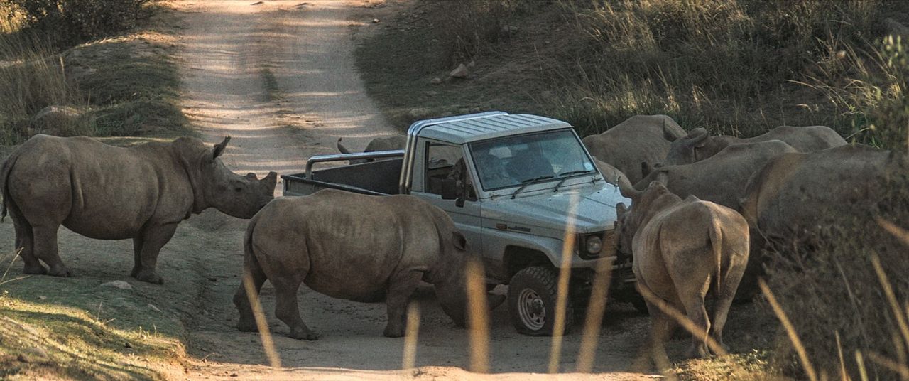 Thabo - Das Nashorn-Abenteuer : Fotoğraf