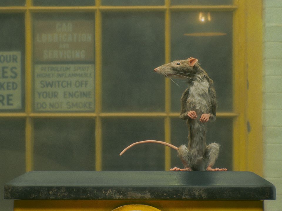 The Ratcatcher : Fotoğraf
