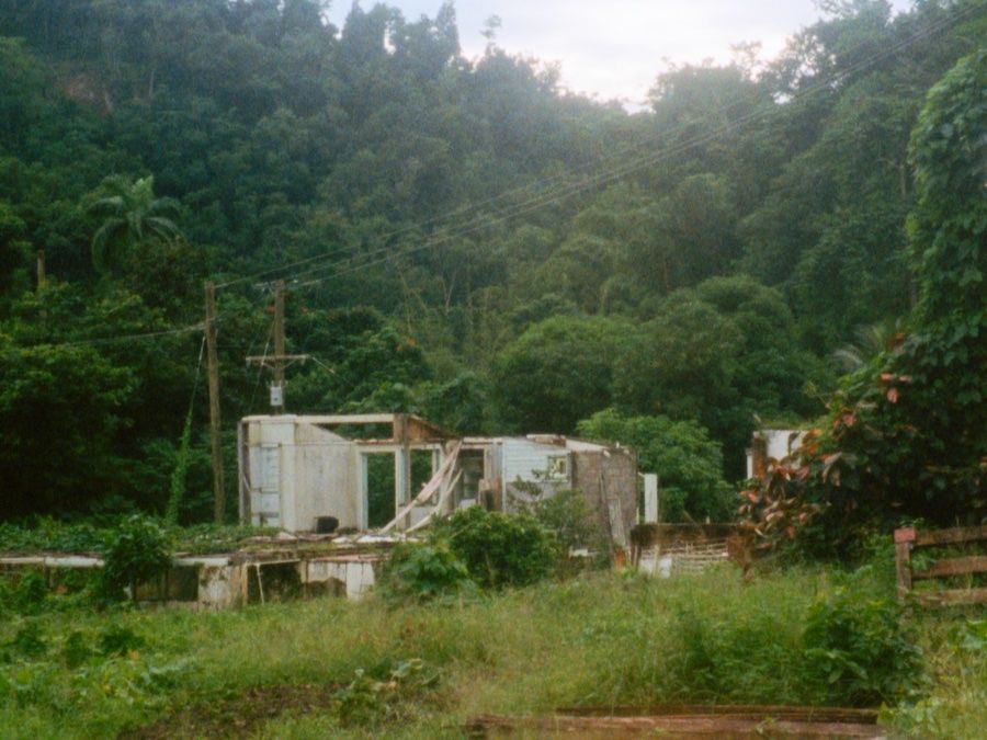 Cette maison : Fotoğraf