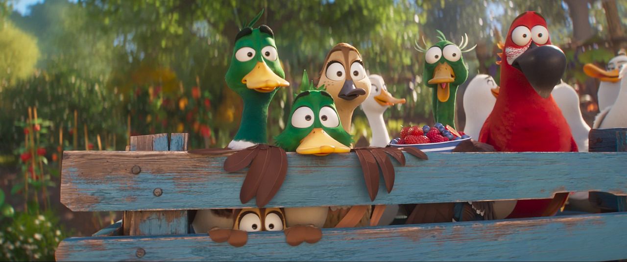 Ördeklerin Göçü : Fotoğraf