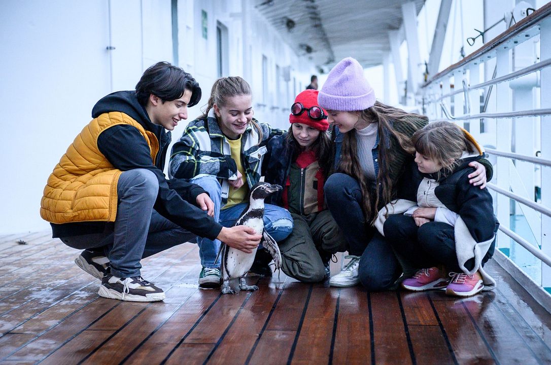 Kaos Kardeşler ve Penguen Paul : Fotoğraf